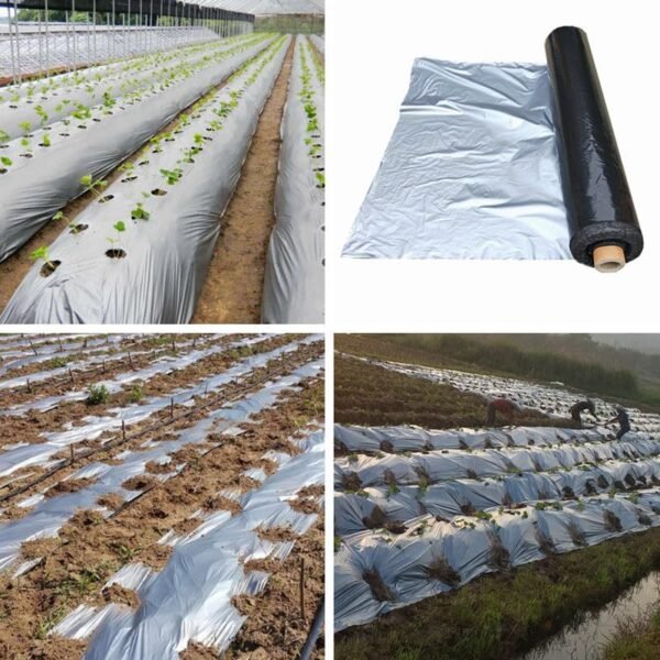 Mulching Sheet
