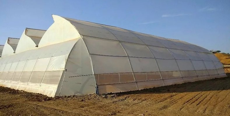 polyhouse
