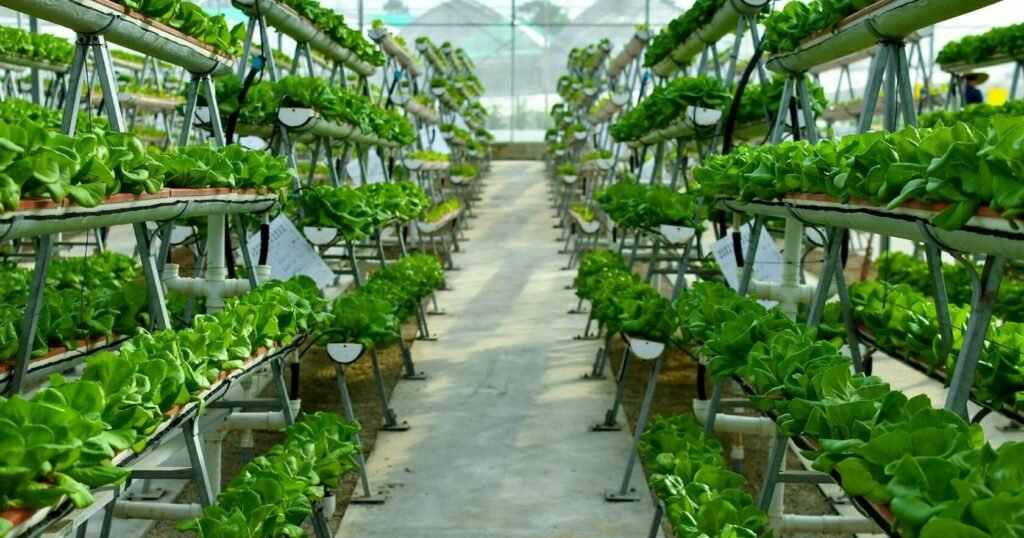 vertfarming