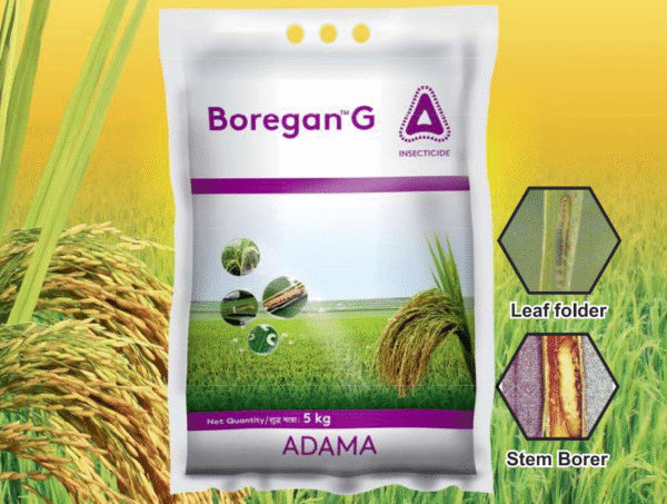 BOREGAN G Insecticide