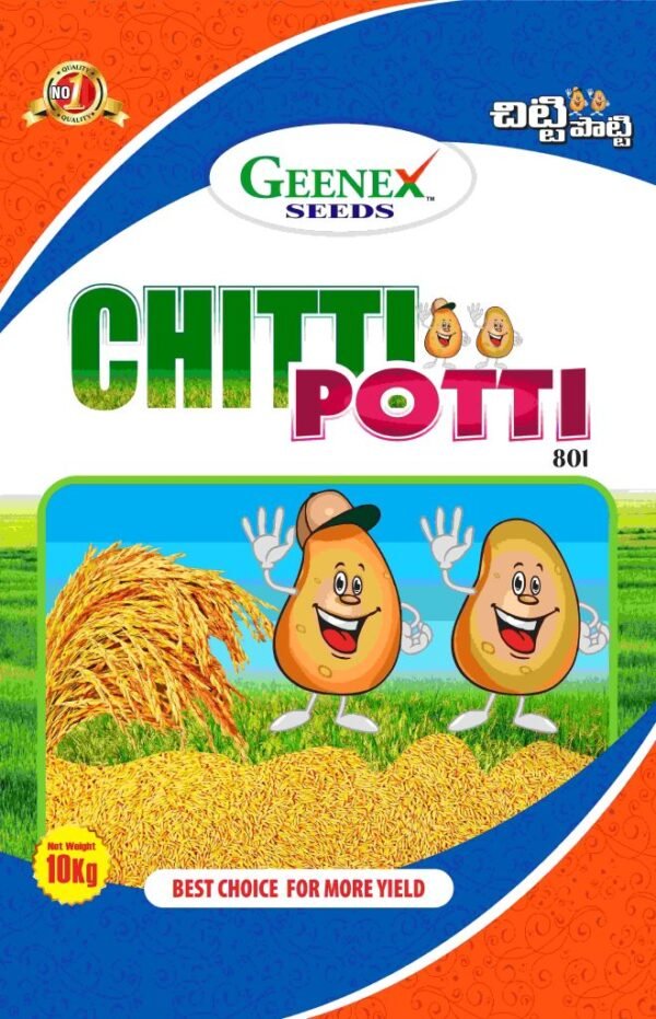 CHITTI POTTI-801 Rice Seeds