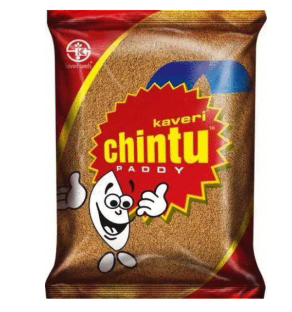 CHINTU Rice Seeds