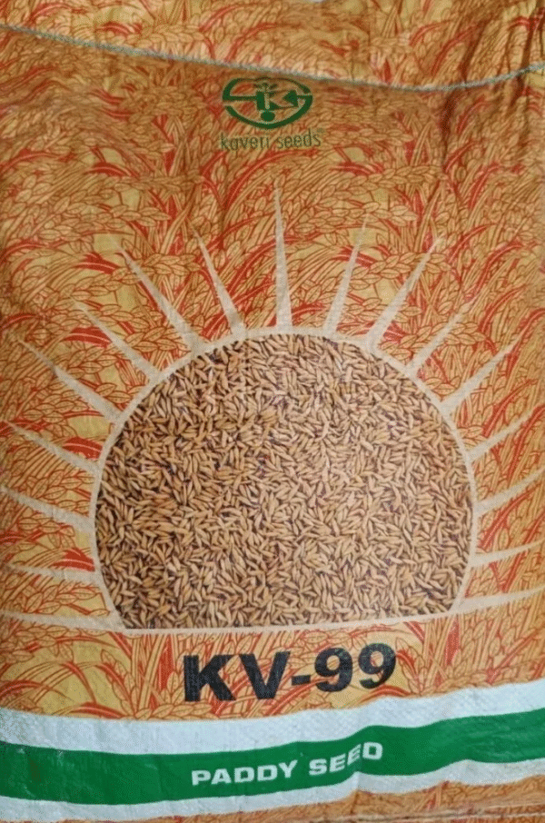 KV-99 Rice Seeds