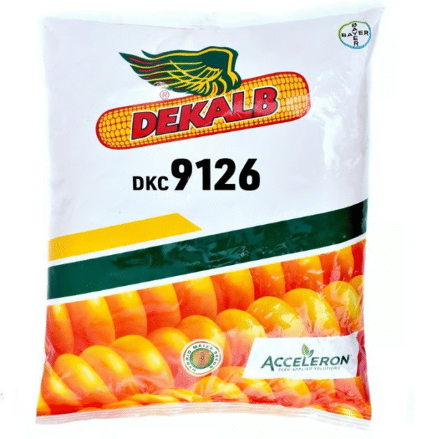 Bayer DKC-9126 Maize Seeds