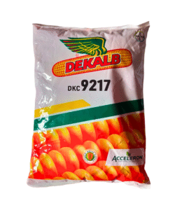 Bayer DKC-9217 Maize Seeds