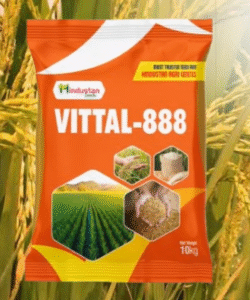 VITTAL-888 Rice Seeds